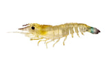 Nomad Live Ops Sumo Shrimp 4in Soft Plastic Lure Fried Banana