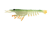 Nomad Live Ops Switcher Shrimp 3.5in Soft Plastic Lure Green Ghost Stalker