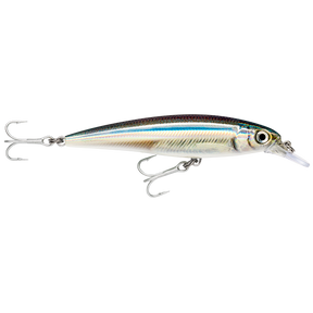 Rapala X-Rap SW SXR-12 120mm Hard Body Lure Anchovy