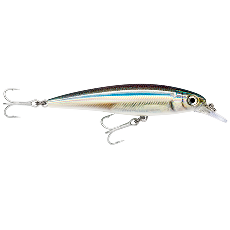 Rapala X-Rap SW SXR-12 120mm Hard Body Lure Anchovy