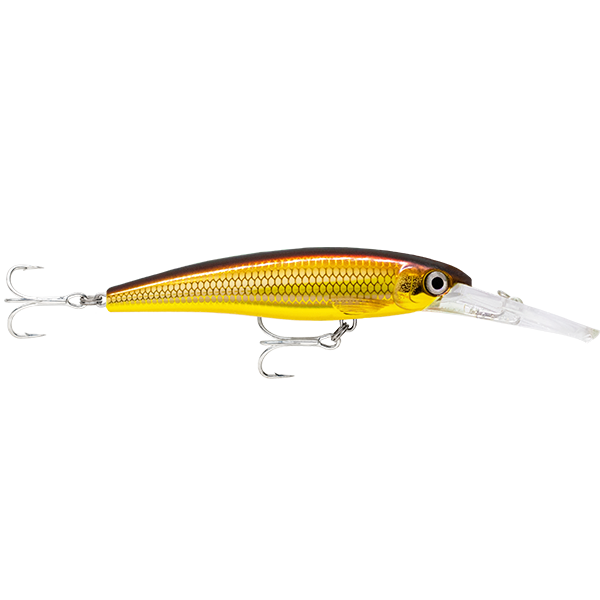 Rapala X-Rap SW Deep SXRD11 110mm Hard Body Lure Golden Alburnus