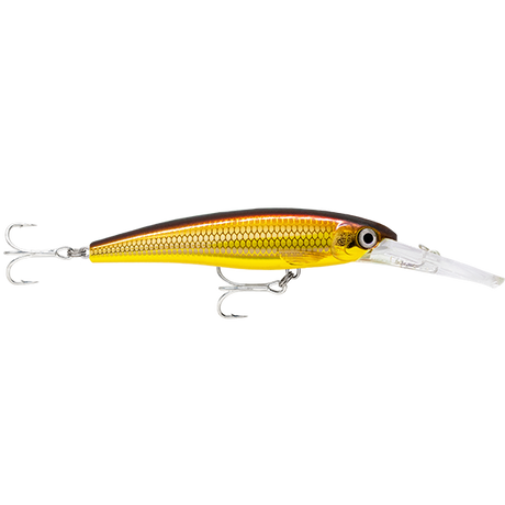 Rapala X-Rap SW Deep SXRD11 110mm Hard Body Lure Golden Alburnus