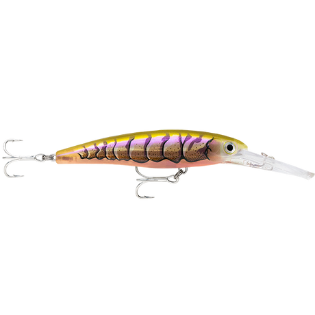 Rapala X-Rap SW Deep SXRD11 110mm Hard Body Lure Purple Prawn Uv