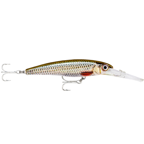 Rapala X-Rap SW Deep SXRD11 110mm Hard Body Lure Live Roach