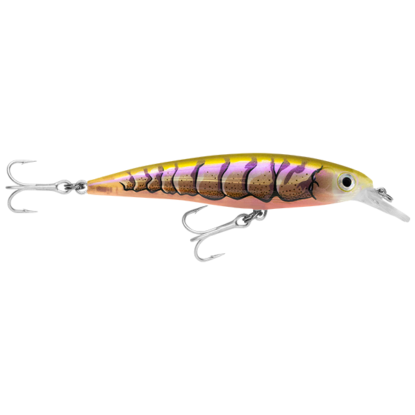 Rapala X-Rap SW SXR10 100mm Hard Body Lure Purple Prawn Uv