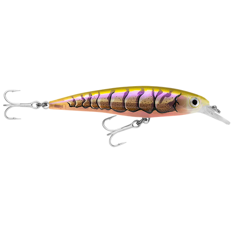 Rapala X-Rap SW SXR10 100mm Hard Body Lure Purple Prawn Uv