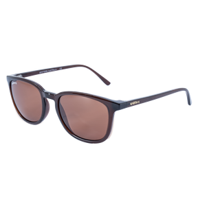 Spotters Sage Polarised Sunglasses Gloss Brown - Halide