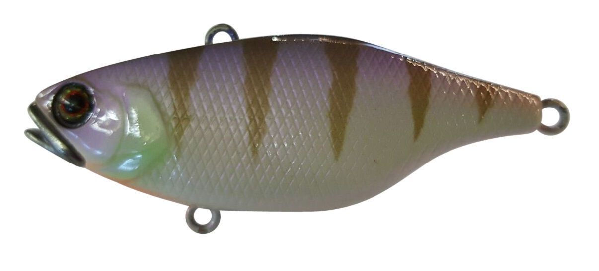 Jackall Silent TN60 60mm 12.7g Hard Vibe Lure Purple Gill