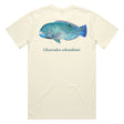 Reef Lagoon T-Shirt BlackSpot Tuskfish Tee Natural