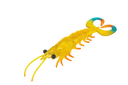 Molix Twin Tail Prawn 5in Soft Plastic Lure Banana Prawn