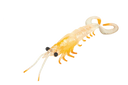 Molix Twin Tail Prawn 5in Soft Plastic Lure Clear Orange