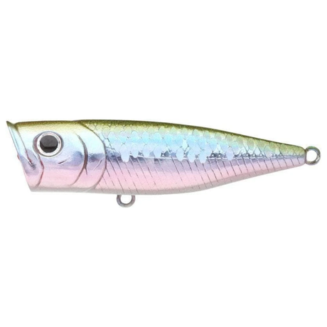 Lucky Craft G-Splash 80mm Popper Lure MS MJ Herring