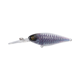 Jackall Super Squirrel 79 Flat 79mm Hard Body Lure King of the Night