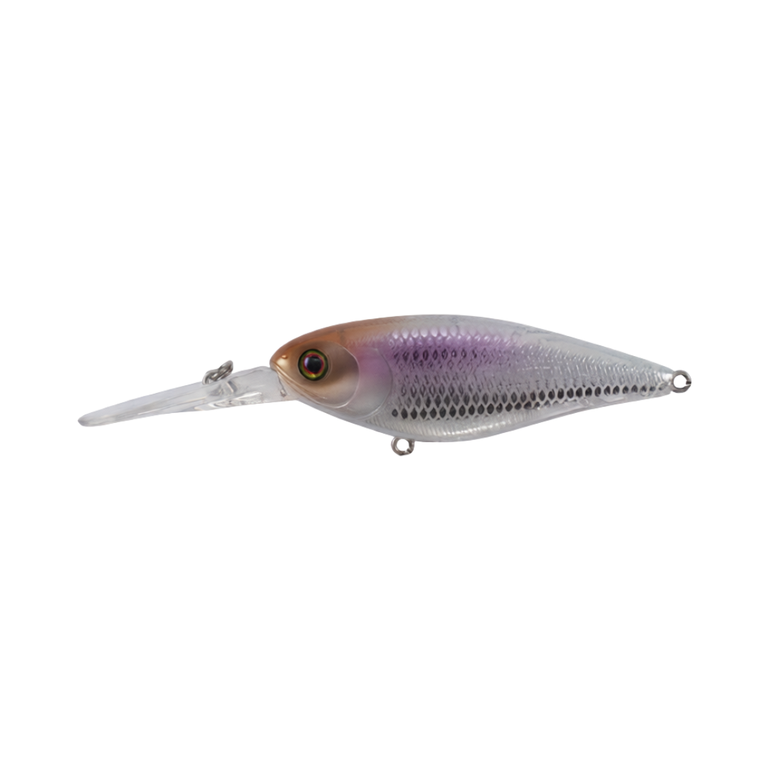 Jackall Super Squirrel 79 Flat 79mm Hard Body Lure Uroko Vision Wakasagi