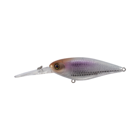 Jackall Super Squirrel 79 Flat 79mm Hard Body Lure Uroko Vision Wakasagi