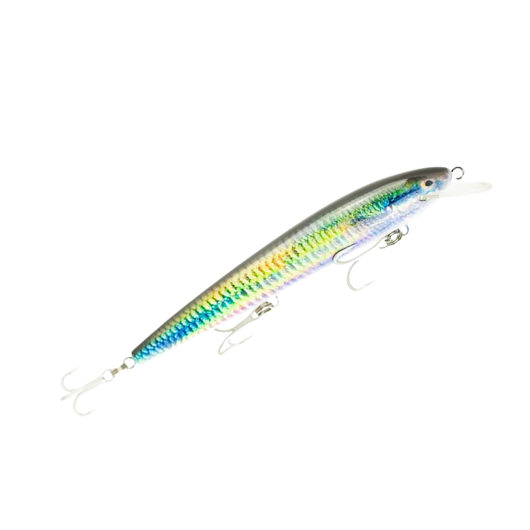 Raptor Lures Dominator Live Series 7in Hard Body Lure Rainbow Fish