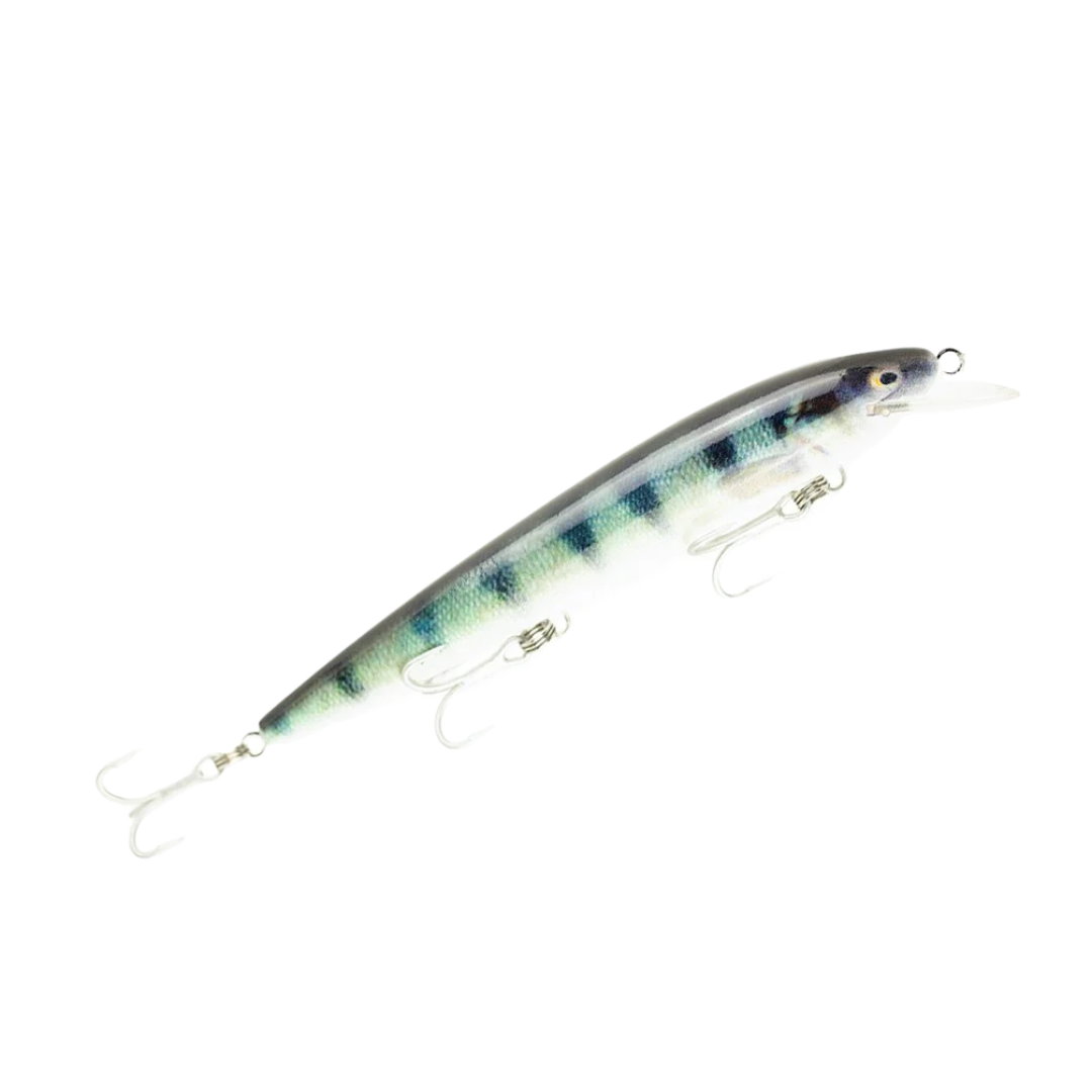 Raptor Lures Dominator Live Series 7in Hard Body Lure Redfin Perch
