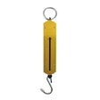 Maritec 50kg Brass Scales Gold