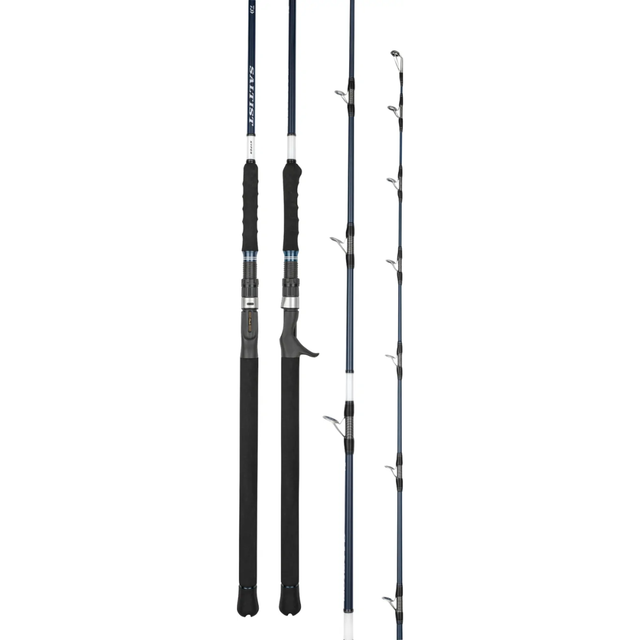 Daiwa 26 Saltist Hyper Overhead Rod