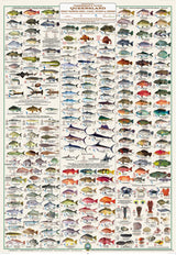 Camtas Keppel Bay, Black Head, Curtis Island To Corio Bay Marine Safety Chart