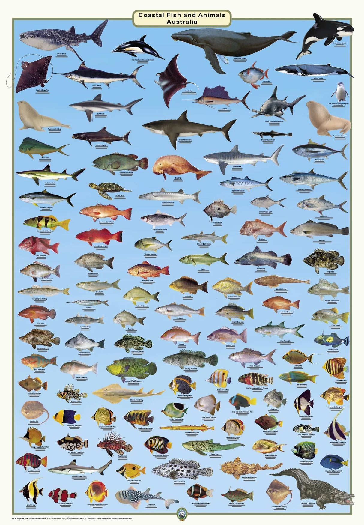 Camtas Sandy Cape To Lady Elliot Island Marine Safety Chart