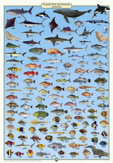 Camtas Sandy Cape To Lady Elliot Island Marine Safety Chart