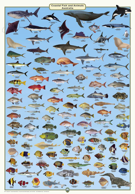 Camtas Sandy Cape To Lady Elliot Island Marine Safety Chart