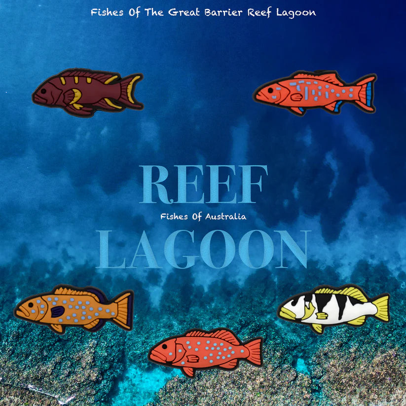 Reef Lagoon Charm Pack Coral Trout