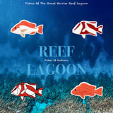 Reef Lagoon Charm Pack Deep Reds