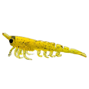 MMD Pop Prawn 95mm Soft Plastic Lure Yellow Gold