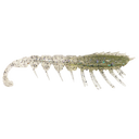 Rapala Crush City The Imposter 2.5in Soft Plastic Lure Ghost Shrimp