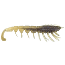 Rapala Crush City The Imposter 2.5in Soft Plastic Lure Purple Haze