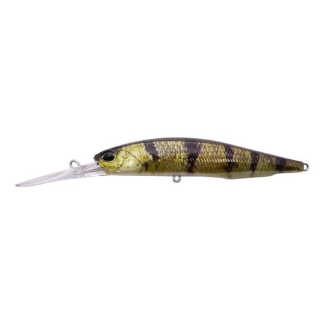 Duo Realis Jerkbait Barra Tune 100DR 100mm Hard Body Lure Barred Grunter