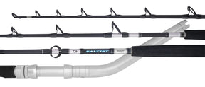 Daiwa Saltist Swivel Tip Bent Butt Electric Rod
