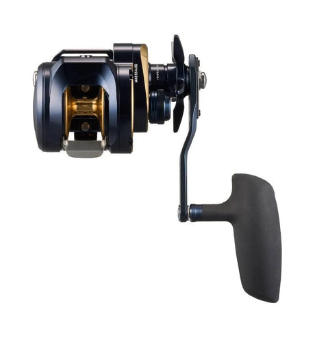 Daiwa 25 Saltiga 300H Overhead Reel