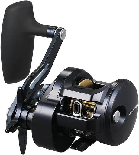 Daiwa 25 Saltiga 300H Overhead Reel