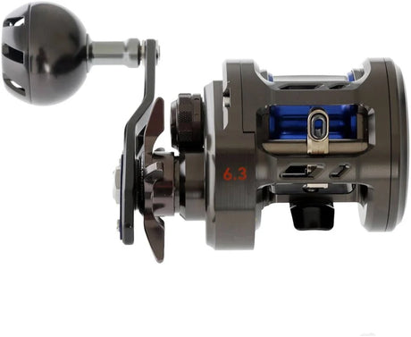 Daiwa Saltiga BJ 200H Overhead Reel