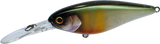 Jackall Super Squirrel 79 Flat 79mm Hard Body Lure Sleek Real Ayu
