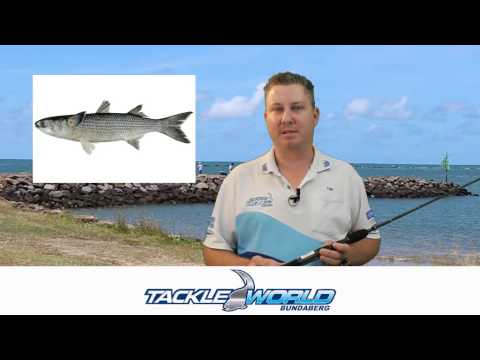 Fishing Report 001