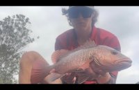 Embedded thumbnail for Weekly Fishing Report 31st October 2024