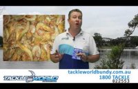 Embedded thumbnail for Fishing Report 17th March 2016