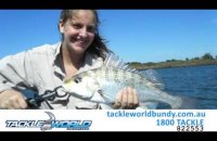 Embedded thumbnail for Fishing Report - 31st December 2015