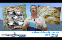 Embedded thumbnail for Fishing Report - 9th June 2016