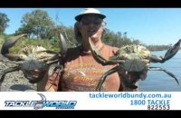 Embedded thumbnail for Fishing Report - 21st January, 2016