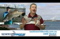 Embedded thumbnail for Fishing Report - 2nd June 2016