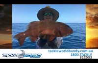 Embedded thumbnail for Fishing Report - 7th January 2016